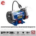 ЗУБР d 125, 200 Вт, заточной станок, Профессионал (ПСТ-125) 12455