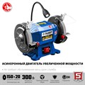 ЗУБР d 150, 300 Вт, заточной станок, Профессионал (ПСТ-150) 12456