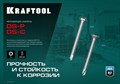 KRAFTOOL DS-P 32 х 4.8 мм, А2, сверло, полукр. головка, ТХ25, саморез нержавеющий, 250 шт (300931-48-032) 15117162